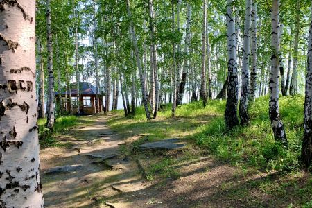 Внешний вид