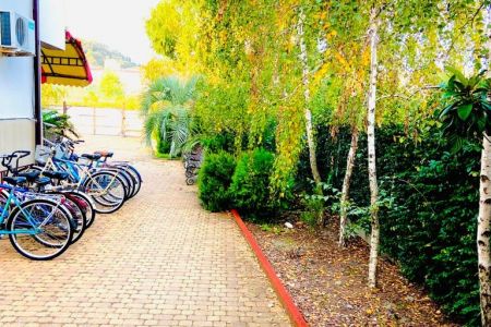 Внешний вид