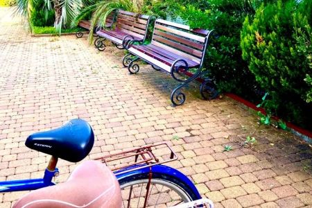 Внешний вид