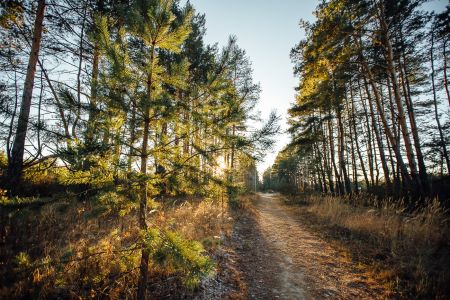 общ.бассейн