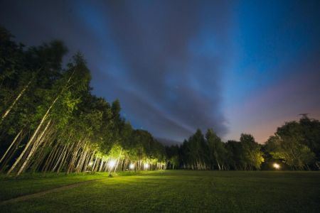 Внешний вид