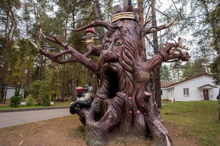 Территория