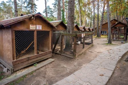 Территория