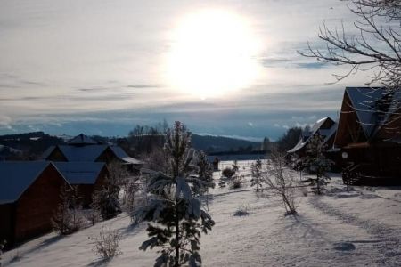 Внешний вид