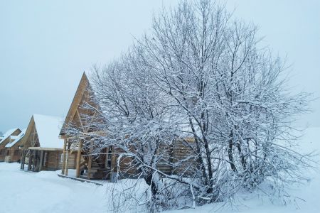 Внешний вид