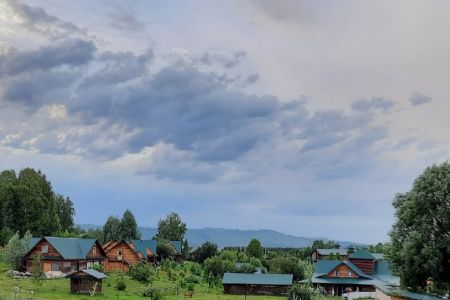 Внешний вид