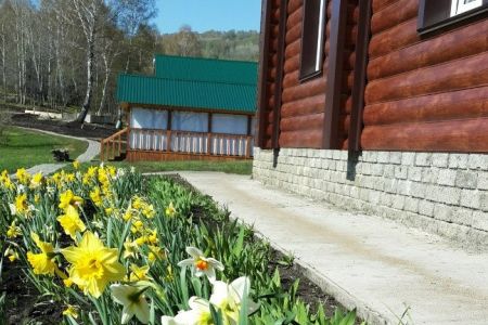 Внешний вид