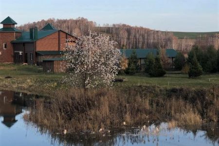 Внешний вид