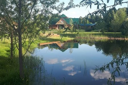 Внешний вид