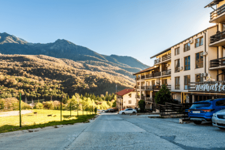 Внешний вид