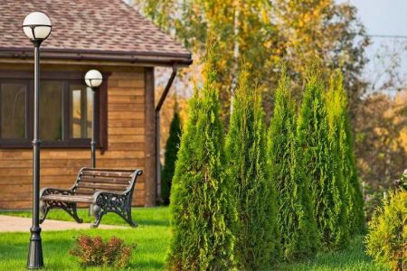 Внешний вид