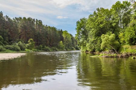 Внешний вид