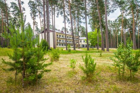 Внешний вид