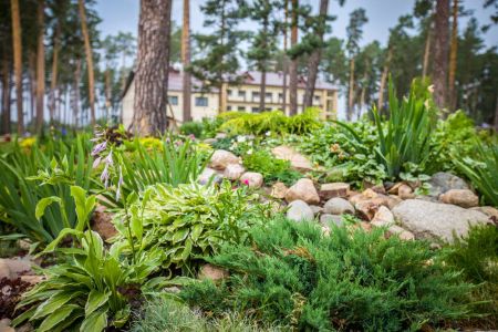 Внешний вид