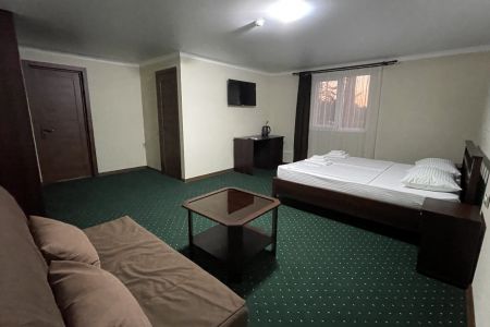 Люкс 2-местный 1-комнатный (1 этаж)