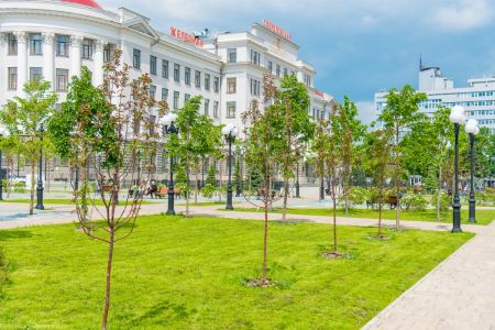 Внешний вид