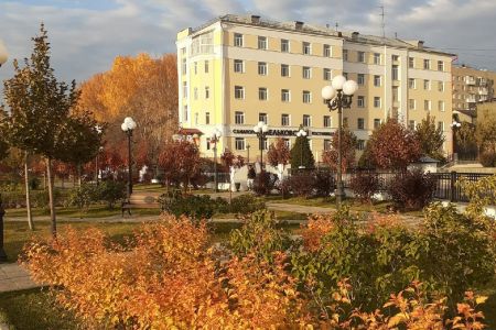 Внешний вид