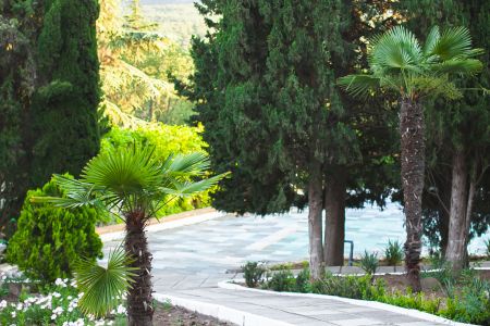 Территория