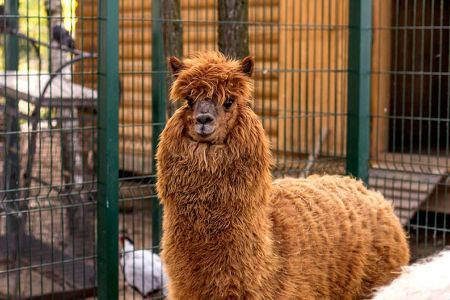 636642294565428083-29e17bd1-ad8e-4aee-b7c4-d286d2231782