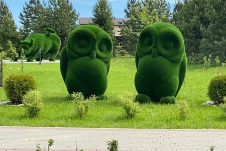 636642294565428083-29e17bd1-ad8e-4aee-b7c4-d286d2231782