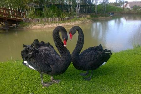 636642294565428083-29e17bd1-ad8e-4aee-b7c4-d286d2231782