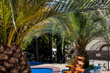 Территория