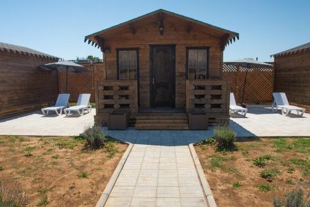 Внешний вид