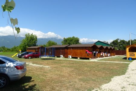 Внешний вид