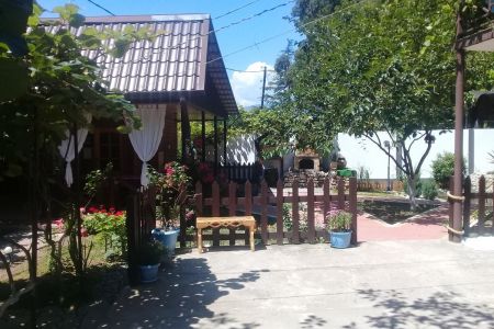 Внешний вид