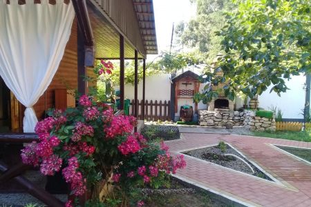 Внешний вид