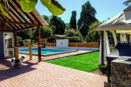 Внешний вид