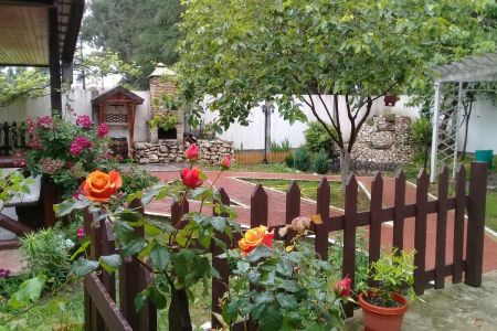 Внешний вид