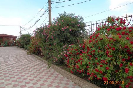 32807dbd2ea8c0f7dd955d2fb611f5ce