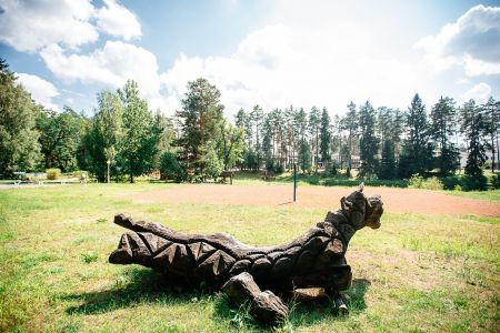 Внешний вид