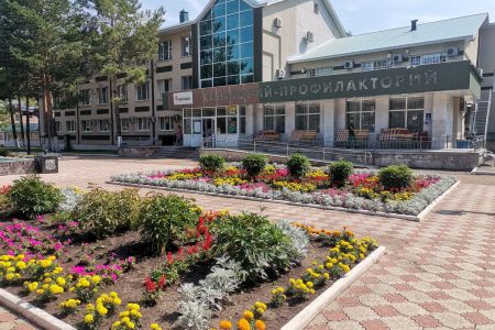 Внешний вид