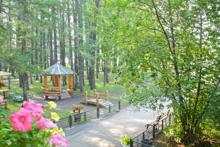 Внешний вид