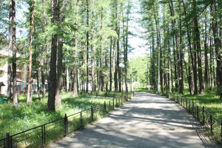 Внешний вид