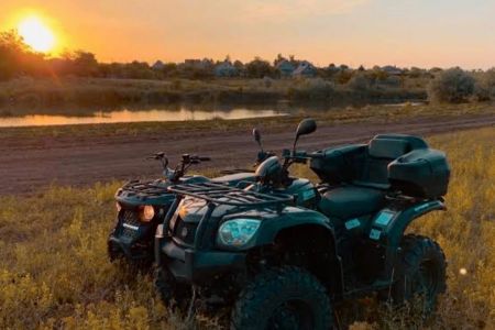 Внешний вид