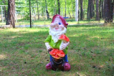 Внешний вид