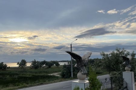 Внешний вид