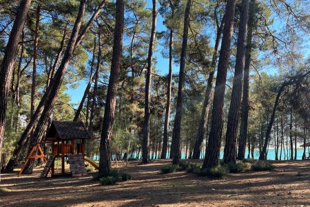 Территория