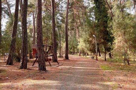 Территория