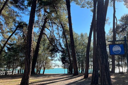 Территория