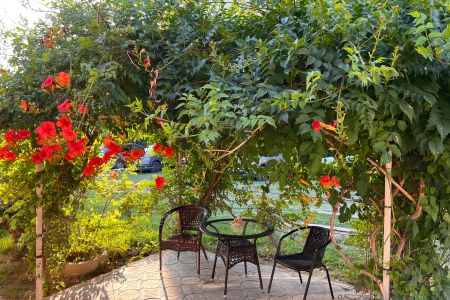 Территория