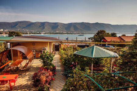 Внешний вид