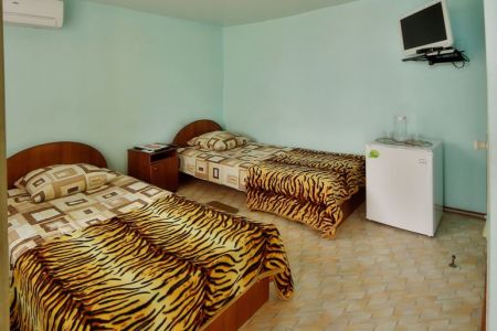 Бюджетный 2-местный №10