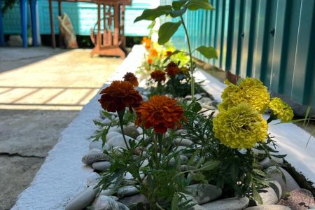 Территория, мангальная зона