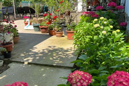 Гостевой дом, внешний вид