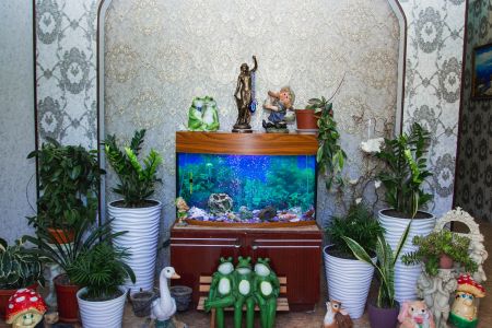 Гостевой дом, внешний вид