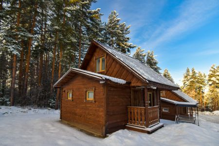 Внешний вид